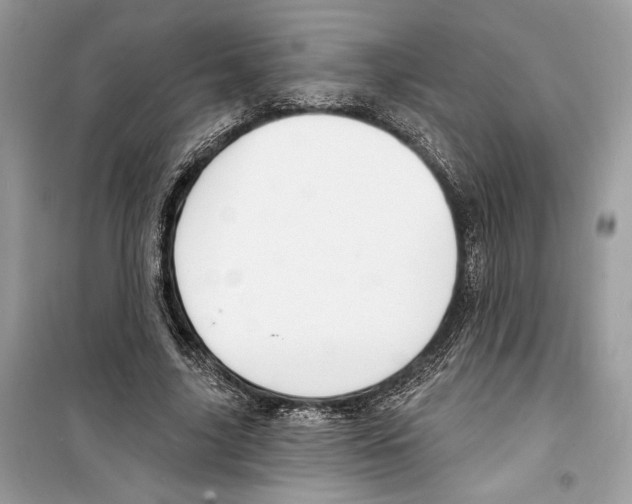 X0000098170635200805221516