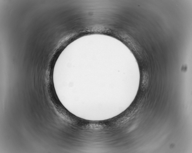 X0000098170636200805221516