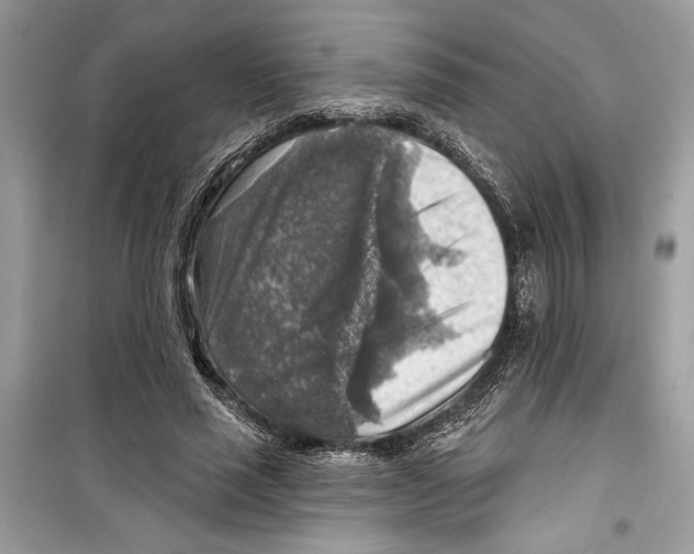 X0000098170637200805221516