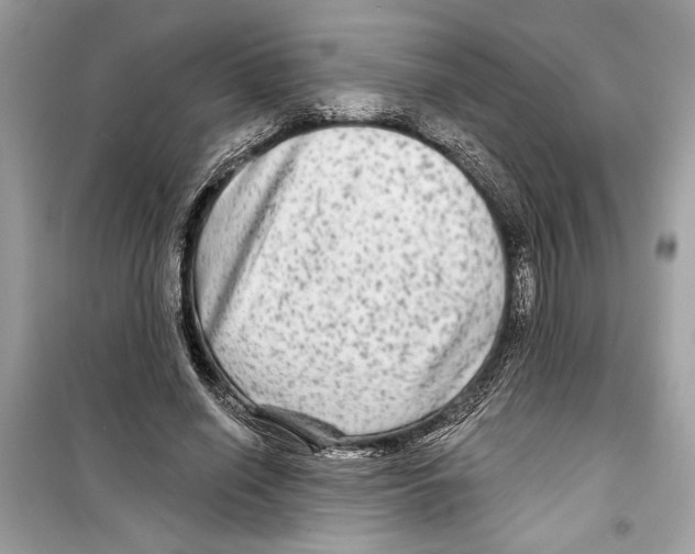 X0000098170638200805221516