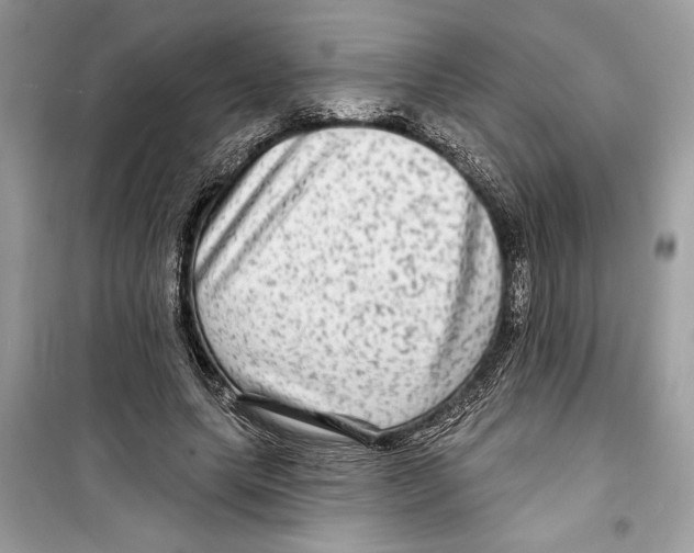 X0000098170639200805221516