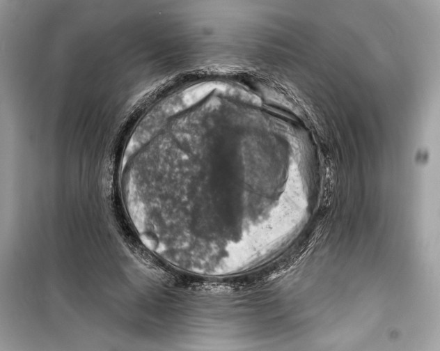 X0000098170640200805221516