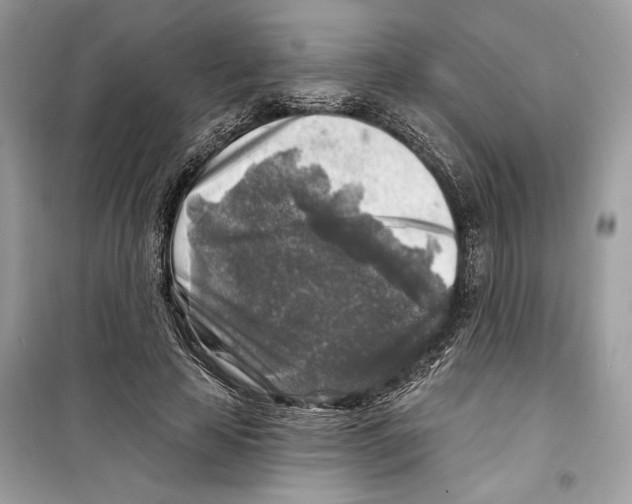 X0000098170641200805221516