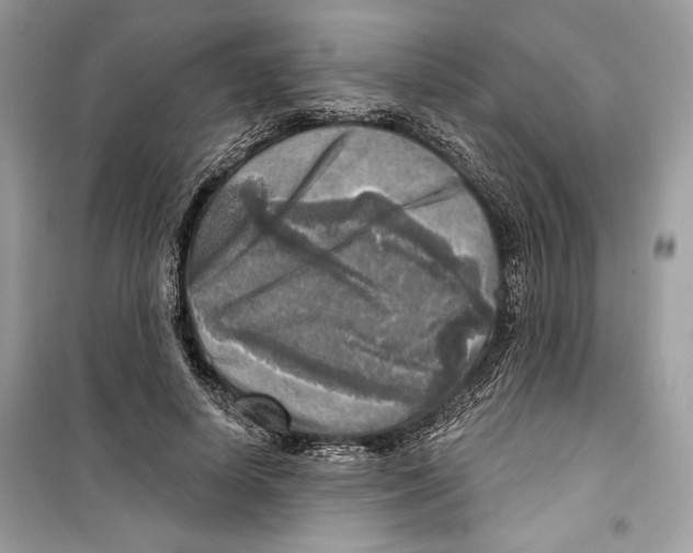 X0000098170642200805221516