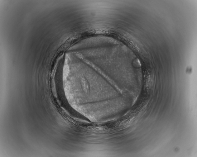 X0000098170643200805221516