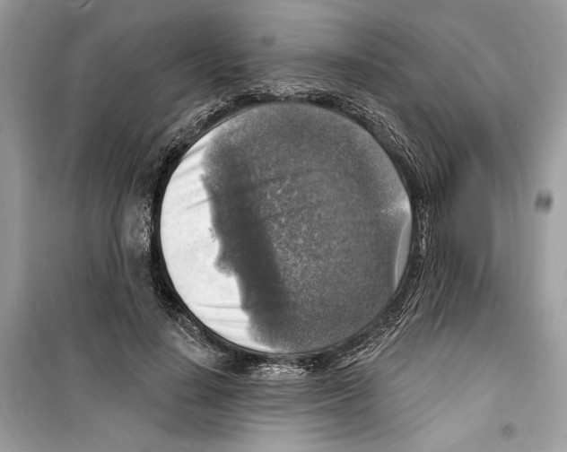 X0000098170644200805221516