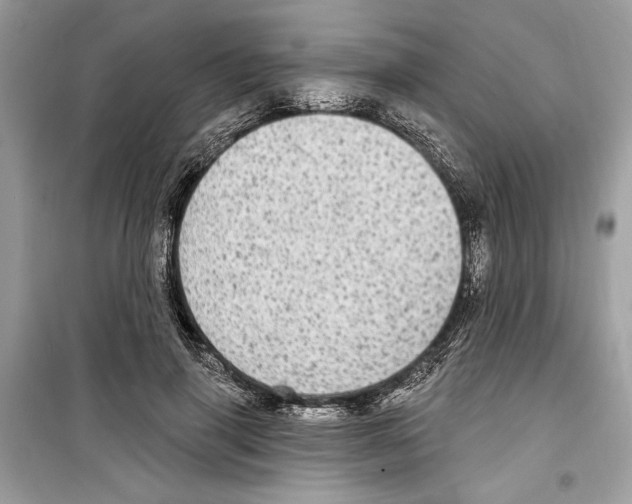 X0000098170645200805221516