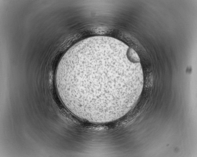 X0000098170646200805221516