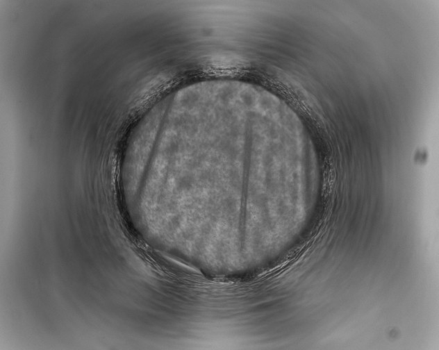 X0000098170647200805221516