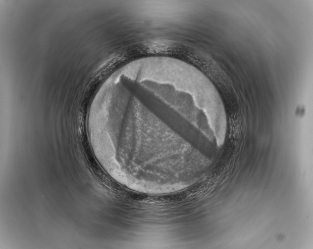 X0000098170648200805221516