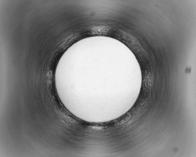 X0000098170649200805221516