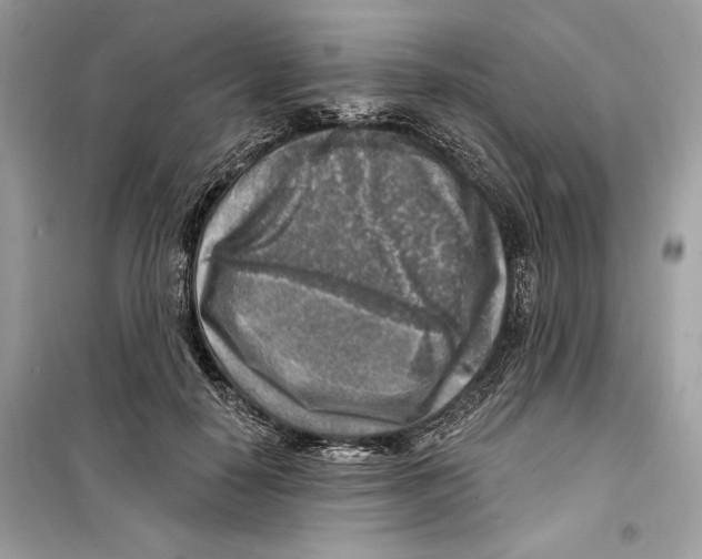 X0000098170650200805221516