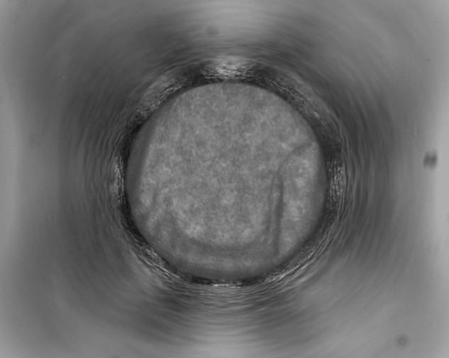 X0000098170651200805221516