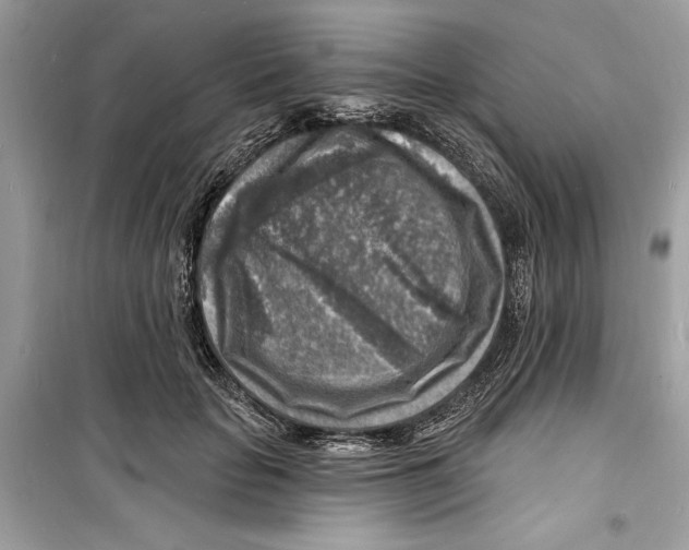 X0000098170653200805221516