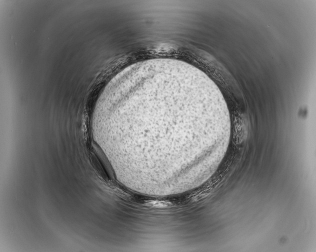 X0000098170654200805221516