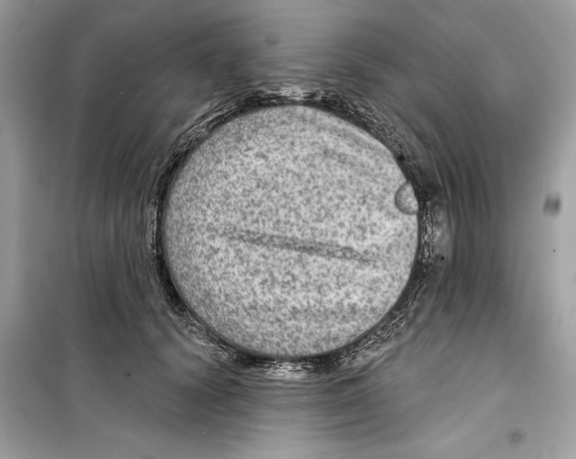 X0000098170656200805221516