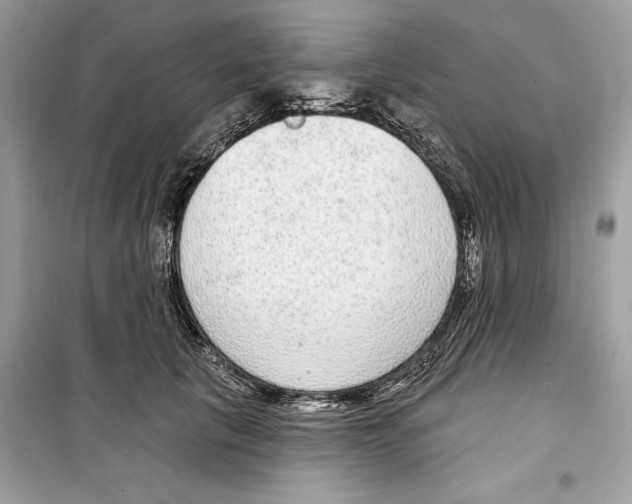 X0000098170657200805221516