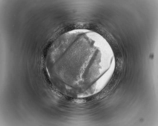 X0000098170659200805221516