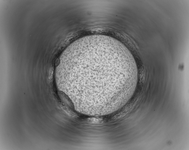 X0000098170660200805221516