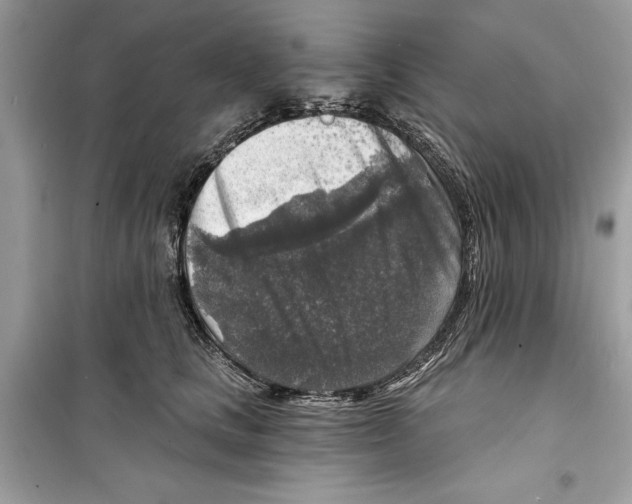 X0000098170661200805221516