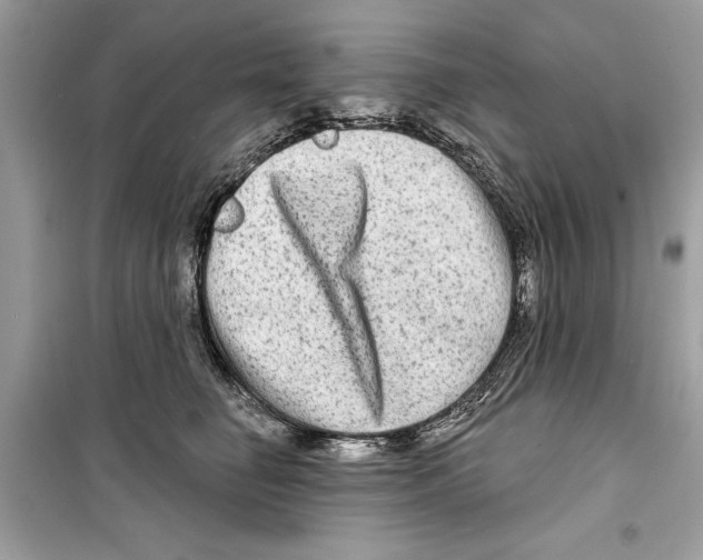 X0000098170662200805221516