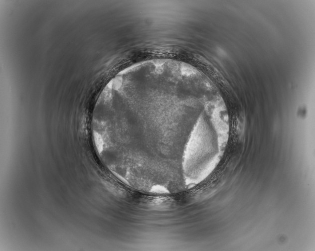 X0000098170663200805221516