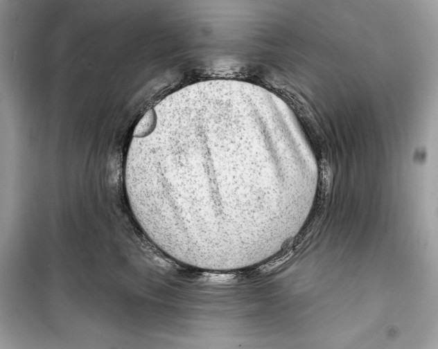 X0000098170665200805221516