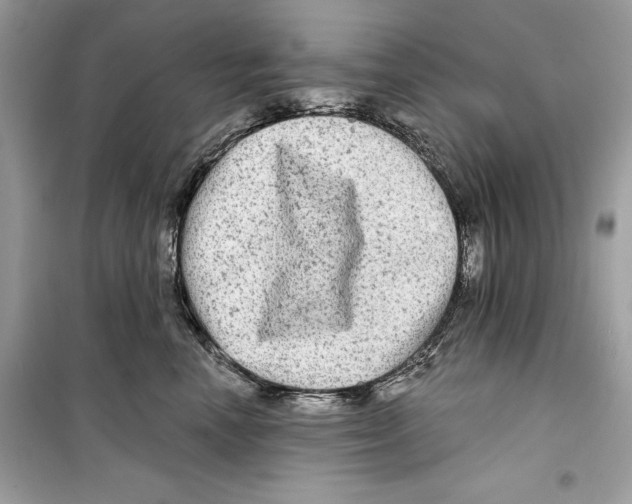 X0000098170666200805221516