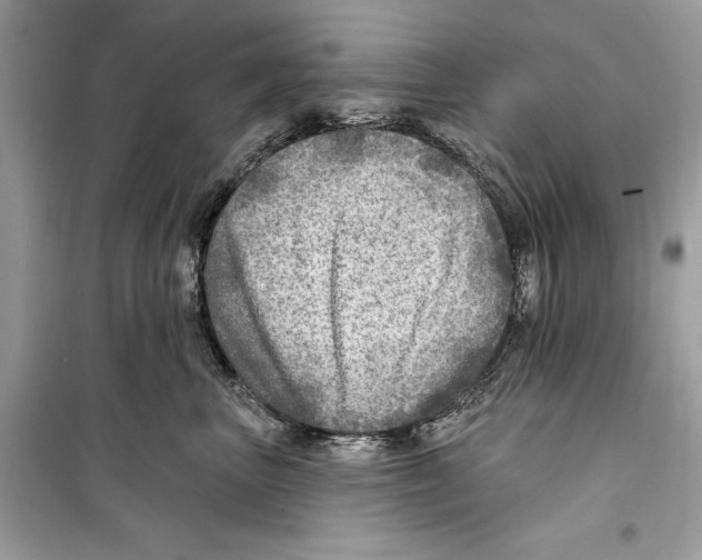 X0000098170667200805221516