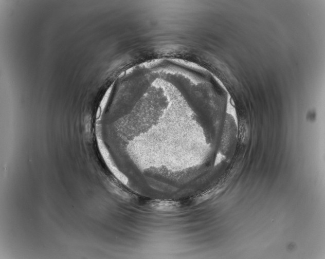 X0000098170670200805221516