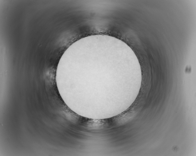 X0000098170672200805221516