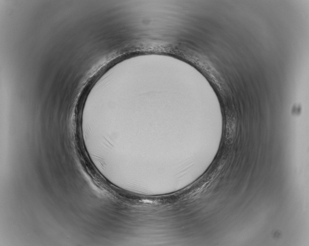 X0000098170674200805221516