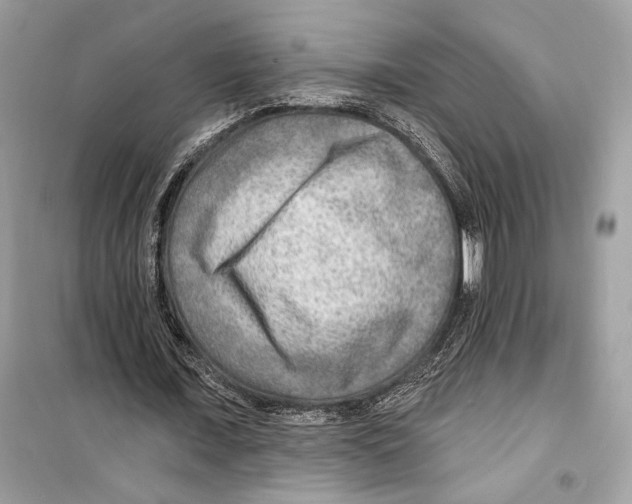 X0000098170675200805221516