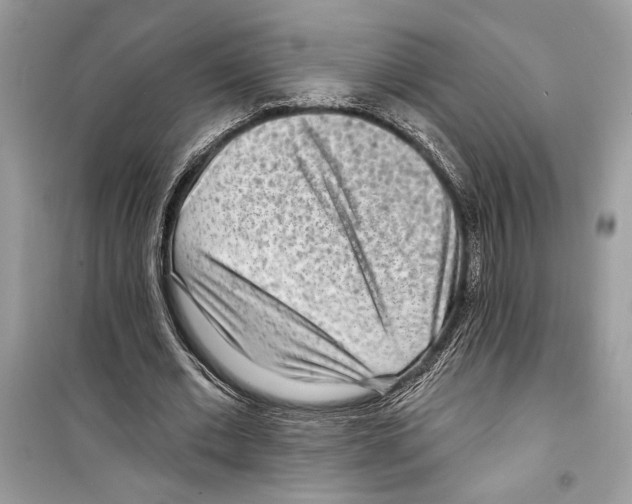 X0000098170677200805221516