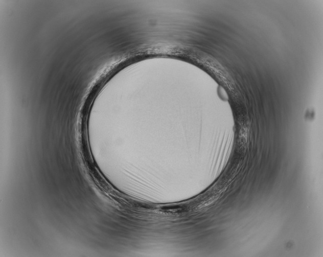 X0000098170678200805221515