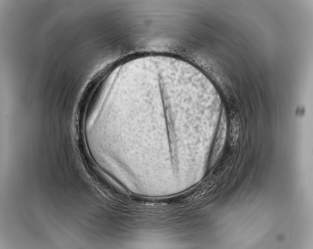 X0000098170680200805221515