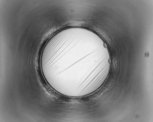 X0000098170682200805221515