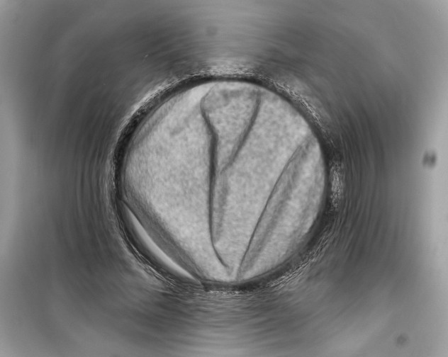 X0000098170684200805221515