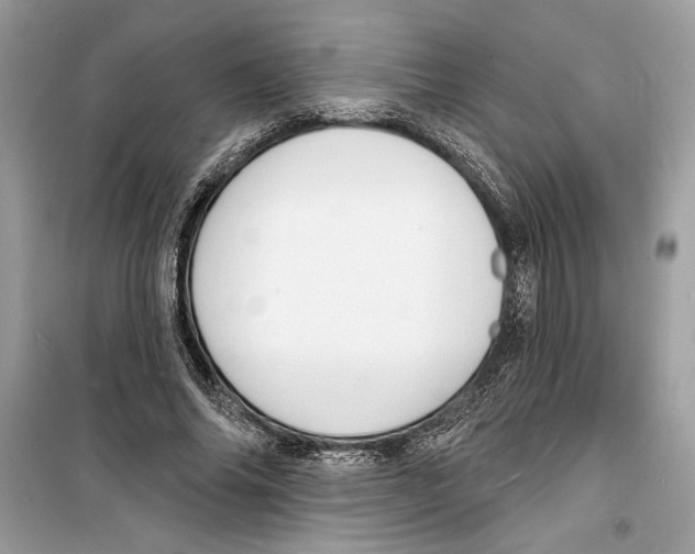 X0000098170686200805221515