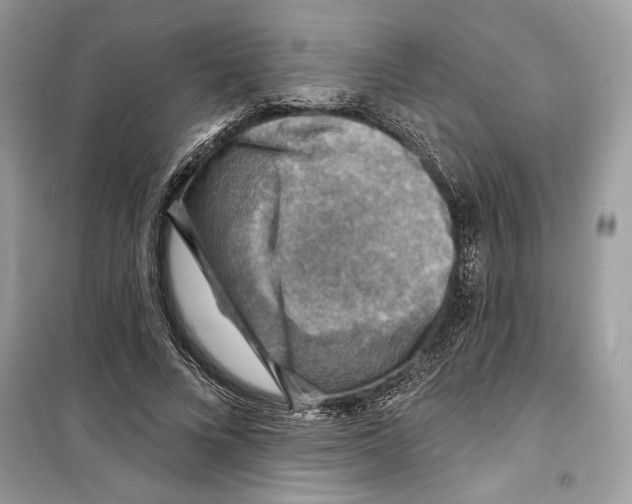 X0000098170688200805221515