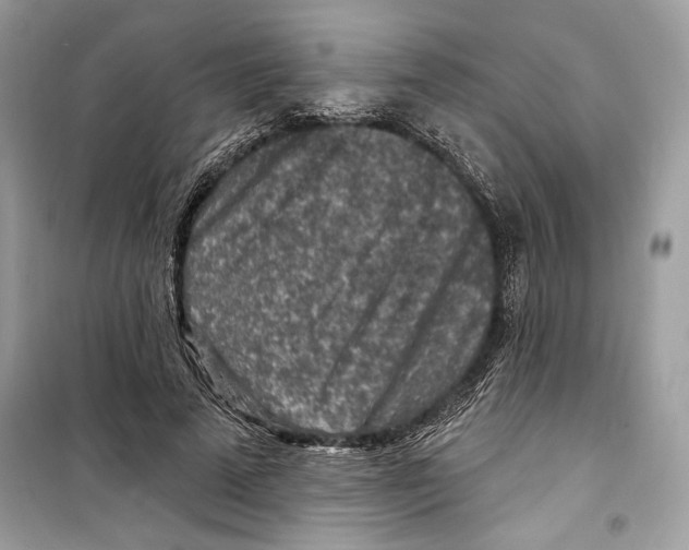 X0000098170689200805221515