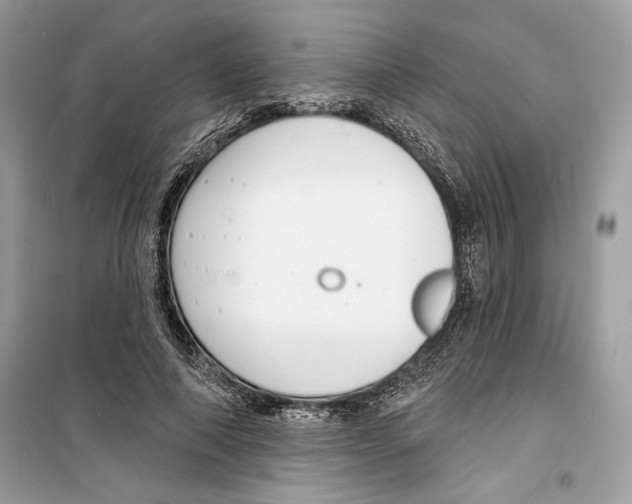 X0000098170690200805221515