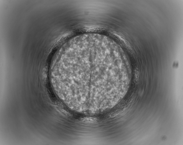 X0000098170691200805221515