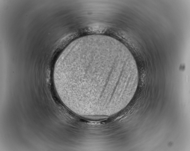 X0000098170693200805221515