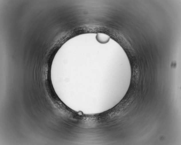 X0000098170694200805221515