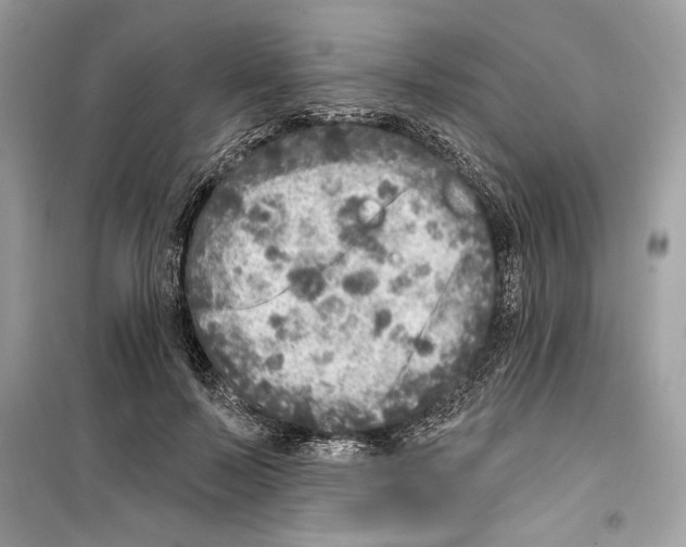 X0000098170695200805221515