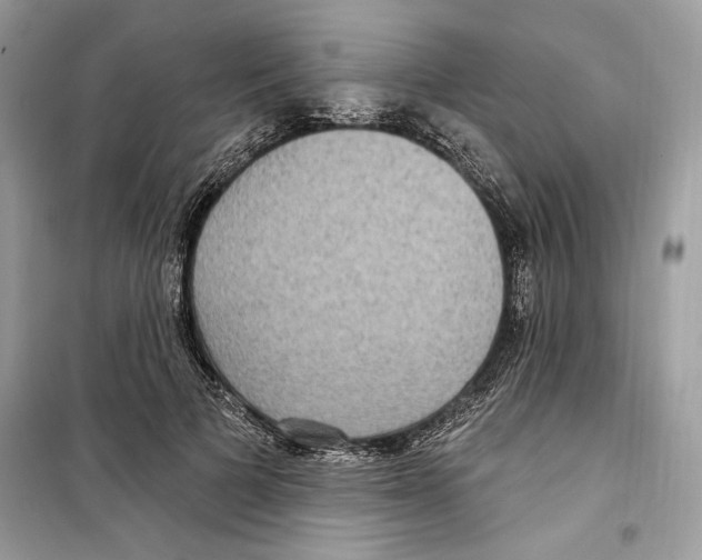 X0000098170697200805221515