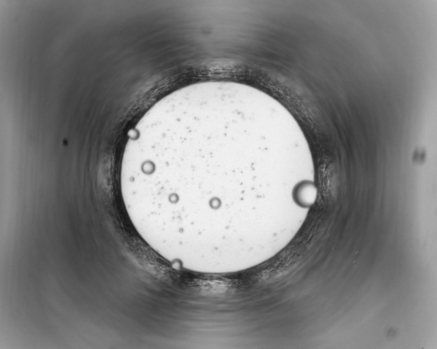 X0000098170698200805221515