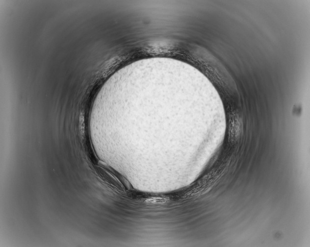 X0000098170700200805221515