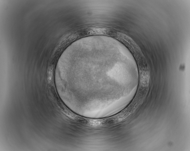 X0000098170701200805221515